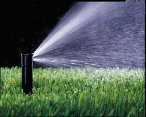 irrigation